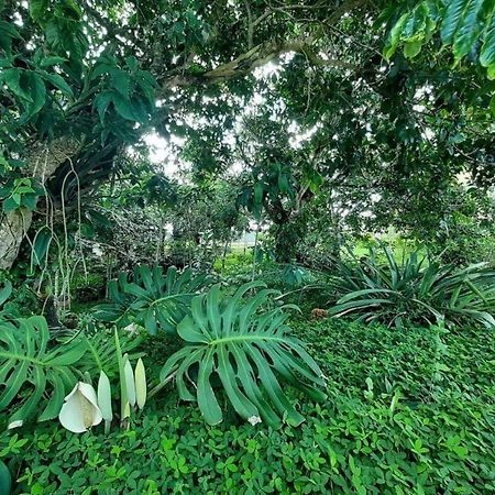 Flat Em Serra Negra - Bezerros Dış mekan fotoğraf