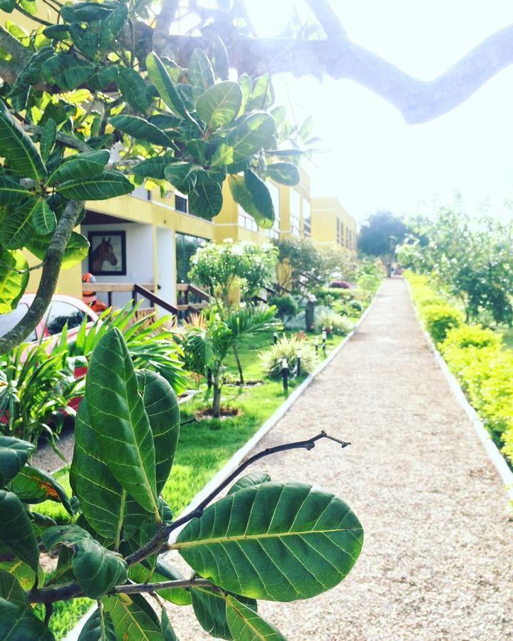 Flat Em Serra Negra - Bezerros Dış mekan fotoğraf